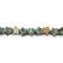 Perlas de Turquesa Africana 6mm estrellas para creación de joyas