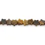 Tiger's Eye star 6mm x 38cm