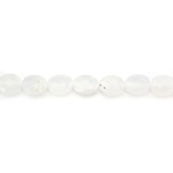 copy of Oval moonstone 8x10mm - quality A x 39cm