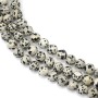 Round Bead Dalmatian Jasper 8mm | Jewelry Supplier