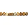 Jaspe Paysage coeur 4mm x 38cm