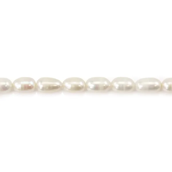 Perle coltivate d'acqua dolce, bianche, oliva, 6-7 mm x 38 cm