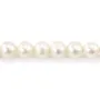 Perla d'acqua dolce semi-tonda 8mm | Collana con perla naturale