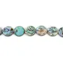 Perla di Madreperla Abalone | Perla Pietra Naturale