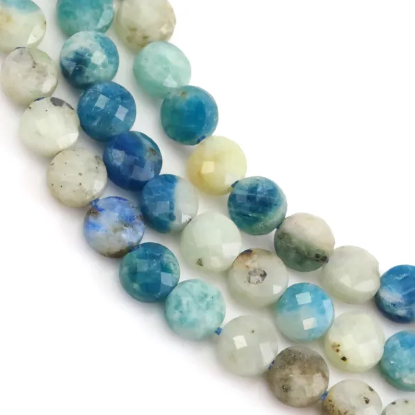 Faceted Flat Round Hackmanite Bead 4mm | Natural Stone