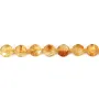Faceted flat round citrine 8mm x 39cm