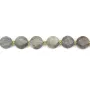 Labradorite rond plat facetté 8mm x 38cm (41pcs)
