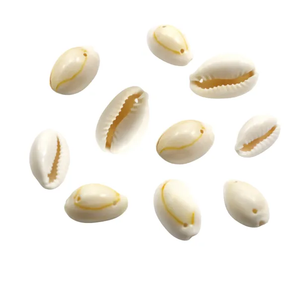 Natural cowrie shell, with two drilling holes, x 10pcs