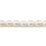 Pérolas de cultura de água doce, brancas, oliva, 9-10mm x 38cm