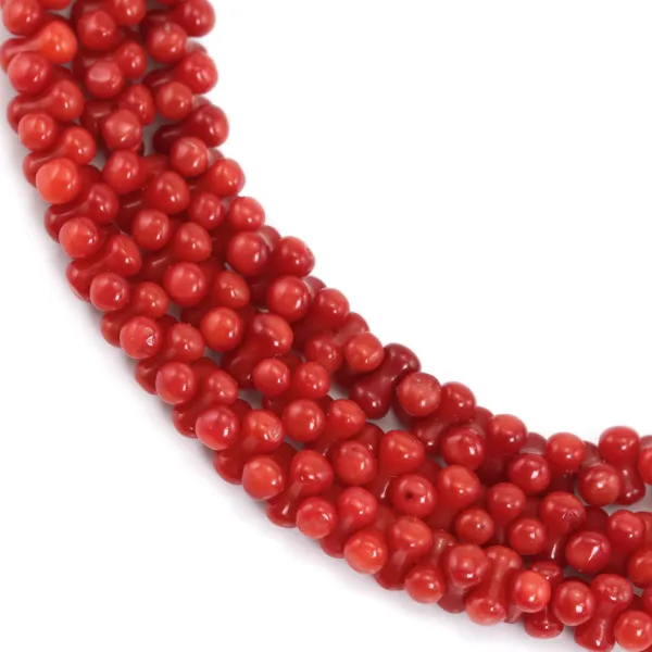 Bambou de mer, teinte rouge, os, 3x6mm x 40cm