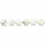 Nácar blanco flor de 6 pétalos 12mm x 40cm