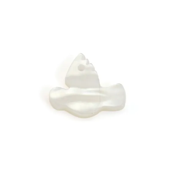 Nacre blanche rond 15mm une colombe x 1pc