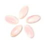 Ovale rosafarbener Lambi-Cabochon 10x20mm x 1Stk