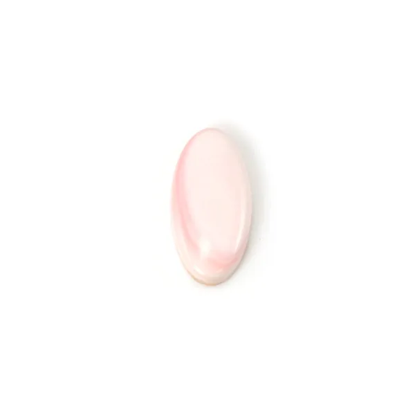 Oval Pink Conch Cabochon 10x20mm x 1pc