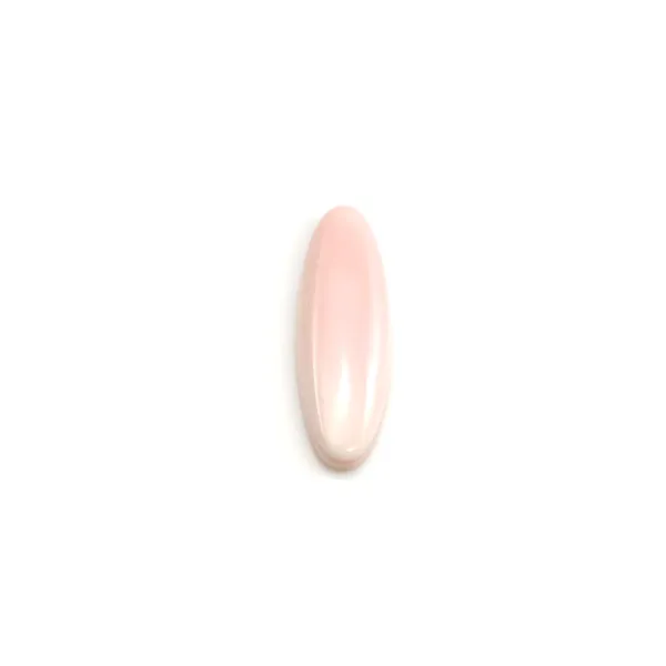Cabochon Lambi rose ovale 7x20mm x 1pc