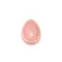 Cabochon Pink Conch Drop 12x16mm x 1pc