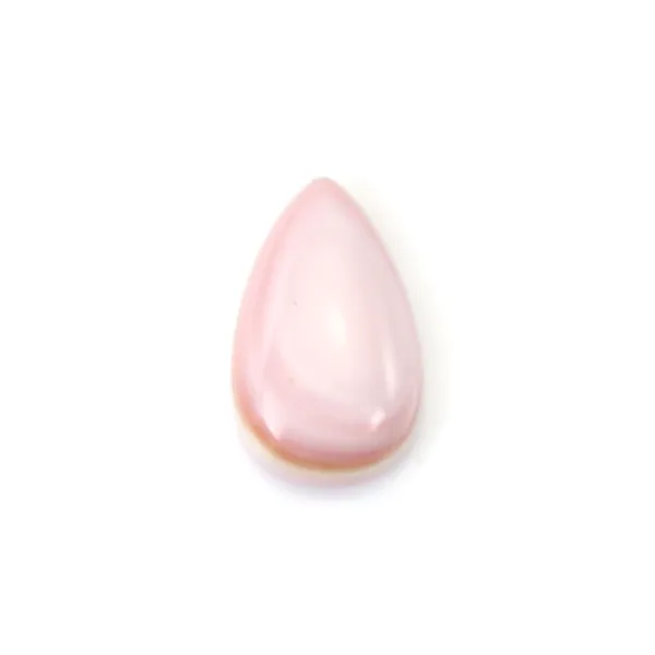 Cabochon Conchiglia rosa a goccia 5x8mm x 1pz