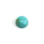 Rekonstituierter grüner runder Türkis-Cabochon 5mm x 4Stk.