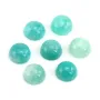 Cabochon Amazzonite del Perù rotondo 5mm x 2pz