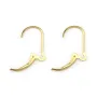 Dormilonas Intercambiables Gold Filled | Accesorios Pendientes Joyas