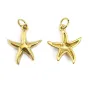 Breloque Pendentif étoile de mer 11x12mm - Acier Inox 304 doré x 1pc