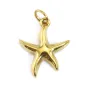 Breloque Pendentif étoile de mer 11x12mm - Acier Inox 304 doré x 1pc