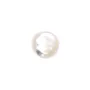 Cabujón Nácar blanco redondo 2mm x 4pcs