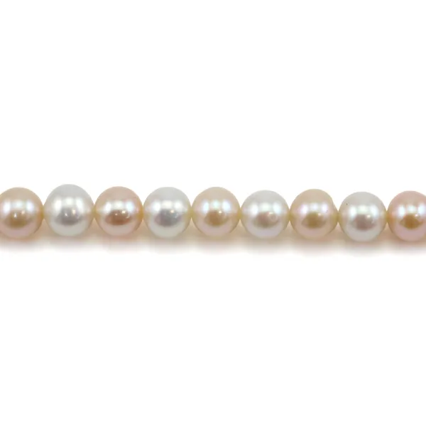 Perles de culture d'eau douce, multicolore, ronde, 8-8.5mm x 40cm