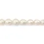 Perlas de cultivo de agua dulce, blancas, barrocas, 13-16mm x 40cm