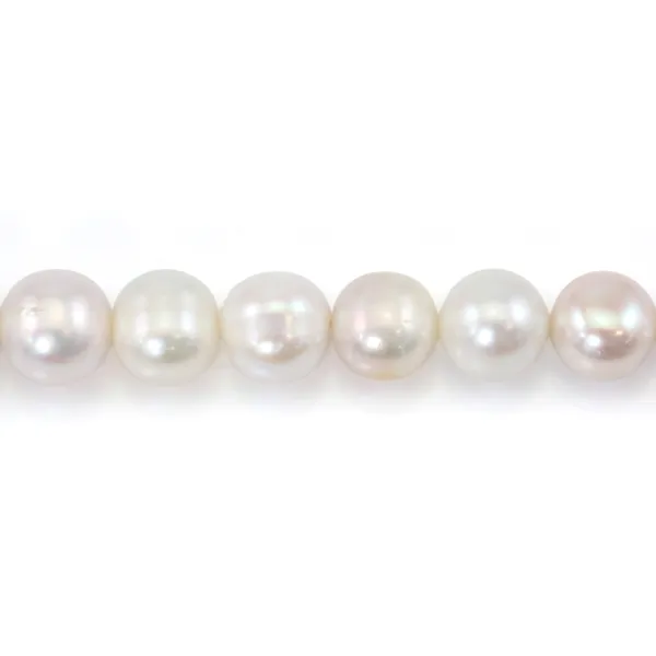 Perles de culture d'eau douce, blanche, ovale, 11mm x 40cm