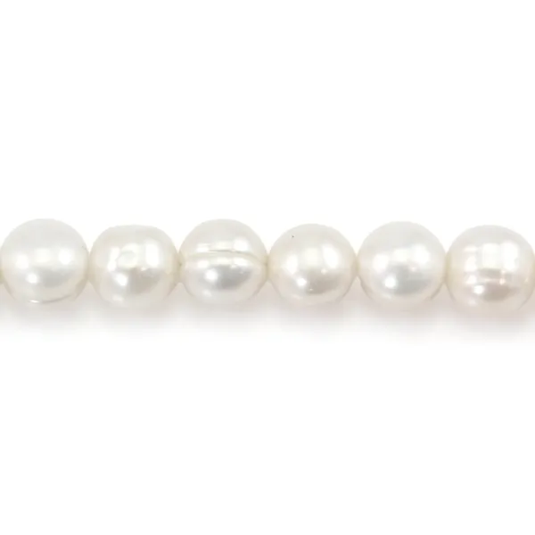 Perles de culture d'eau douce, blanche, semi-ronde, 10-11mm x 38cm