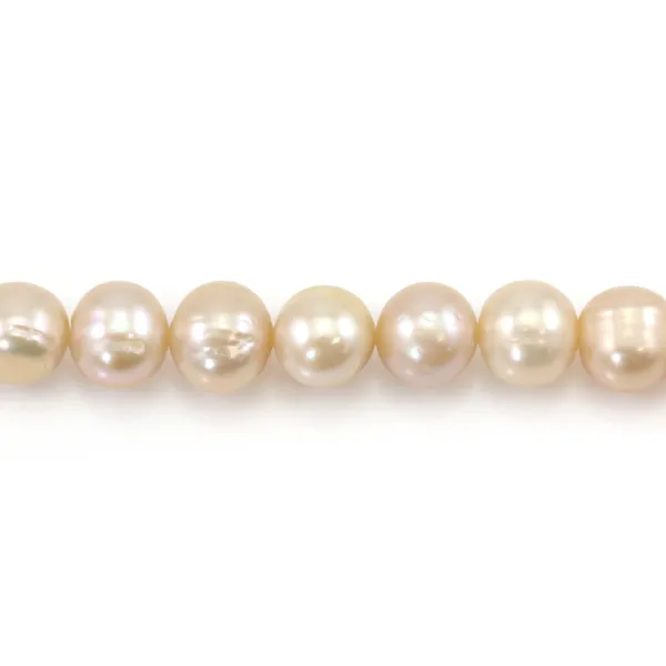 Perles de culture d'eau douce, saumon, ovale, 9mm x 40cm
