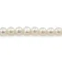 Perles de culture d'eau douce, blanche, semi-ronde, 6.5mm x 1pc