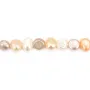Perle coltivate d'acqua dolce, multicolori, barocche, 6-7 x 36cm