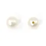 Pérolas de cultura de água doce, semi-perfuradas, brancas, semi-redondas, 5.5-6mm x 1pc