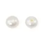 Perles de culture d'eau douce, semi-percée, blanche, bouton, 4.5-5mm x 4pcs