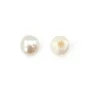 Perles de culture d'eau douce, semi-percée, blanche, bouton, 2.5-3mm x 4pcs