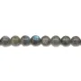 Labradorite Round 10mm x 39cm