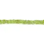 Peridoto lámina cuadrada 1.5x4mm x 41cm