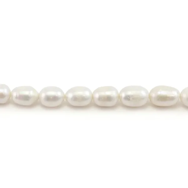 Perlas cultivadas de agua dulce, blancas, oliva, 10-11mm x 37cm