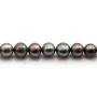 Pérolas de cultura de água doce, azul escuro, semi-redondas, 8-9mm x 1pc