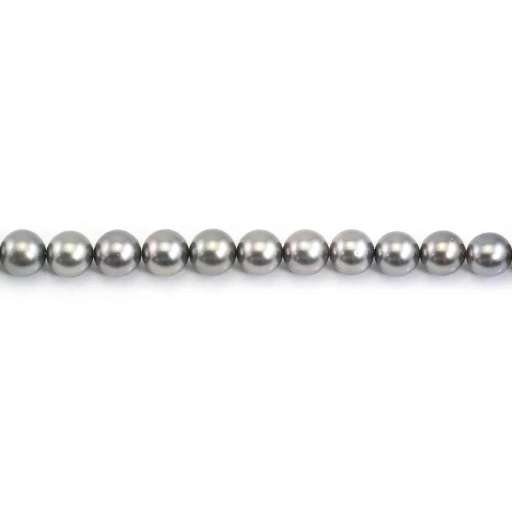 Perle de culture de Tahiti, ronde,8.5-9.4mm - 44 perles (environ 40cm) - qualité A/B - couleur gris clair