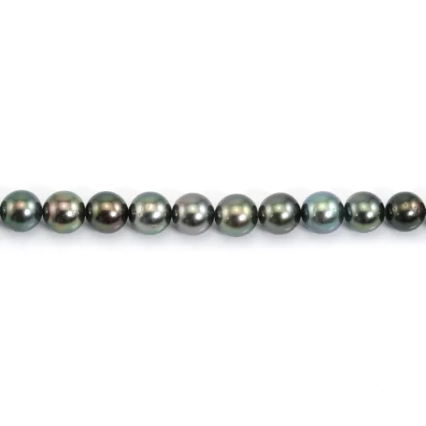 Cultured Tahitian pearl, round, 8.8-10mm - 42 pearls (approximately 39cm) - quality B/C - multicolored