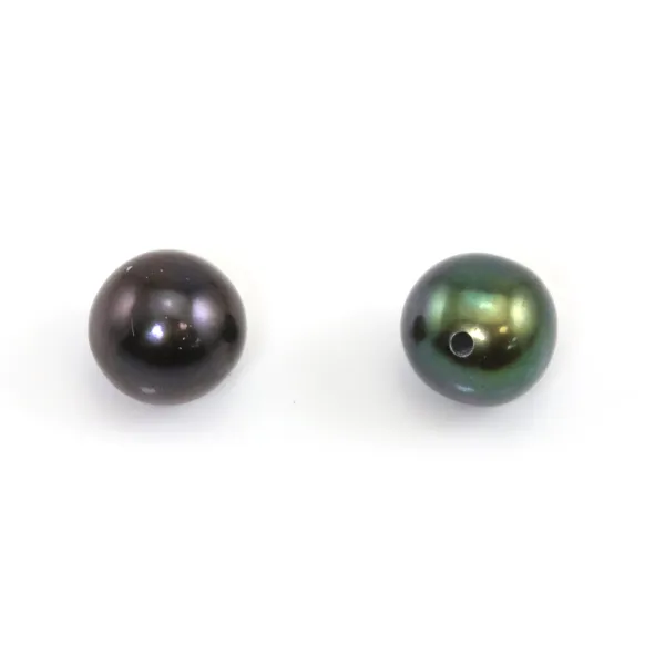 Perles de culture d'eau douce, semi-percée, bleue foncée, semi-ronde, 7.5-8mm x 2pcs