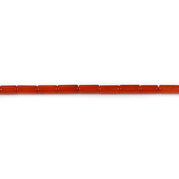 Bambou de mer, teinte rouge tube, 2x4mm x 40cm