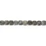 Labradorite grigia a forma di quadrato sfaccettato 6mm x 39cm
