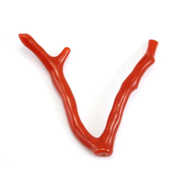 Corail rouge Naturel Branche 30-50mm x 1pc