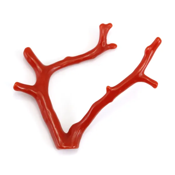 Coral rojo Natural Rama 30-50mm x 1pc