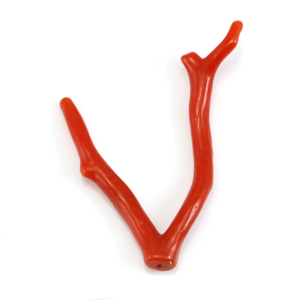 Corail rouge Naturel Branche 30-50mm x 1pc