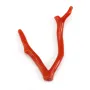 Corail rouge Naturel Branche 30-50mm x 1pc
